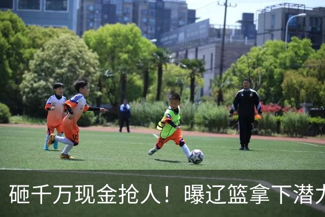 砸千万现金抢人！曝辽篮拿下潜力新星，4年B类合同，王岚钦怎么办